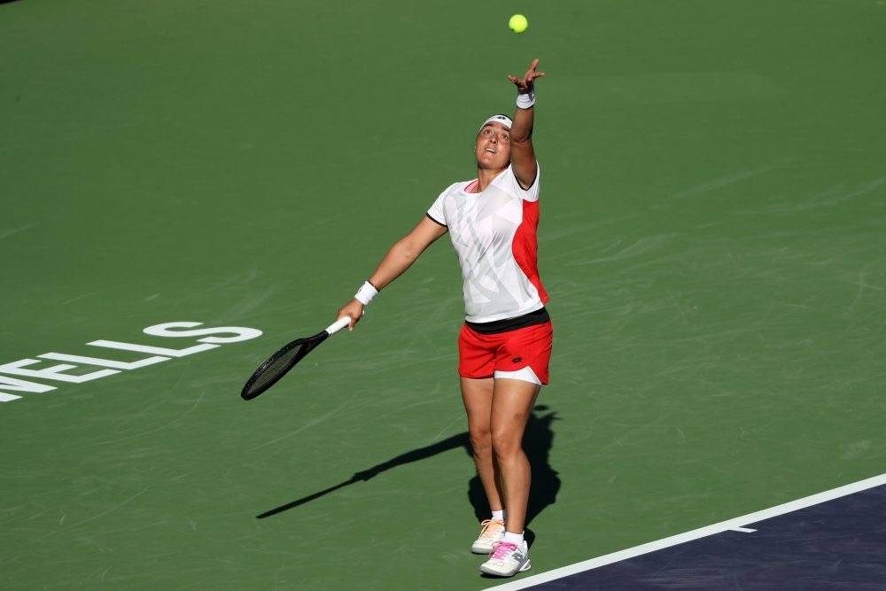 早期押注的 早期押注的